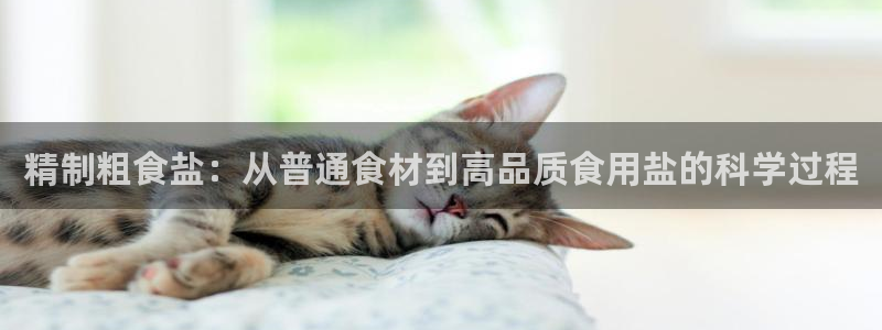 威九国际精忐